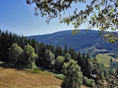 Forêt de Vaissières