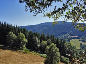 Forêt de Vaissières