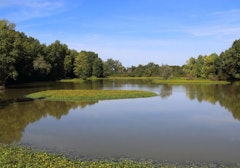 Former Riscle gravel pits
