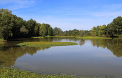 Former Riscle gravel pits