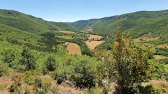 Bois de Vellas