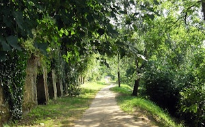 Échappée Verte d'Albi