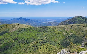 Pic d'Arbousse