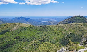 Pic d'Arbousse