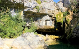 Source de Gorniès