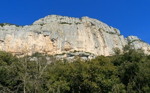 Grotte de l'Hortus