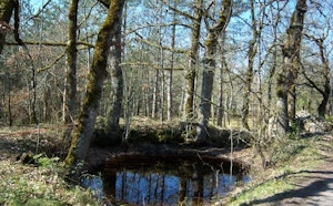 Hameaux du Souillaguet