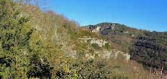 Heights of Massebiau