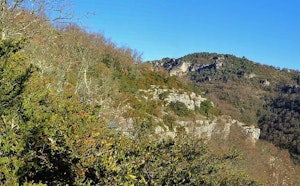 Heights of Massebiau