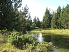 Têt Valley