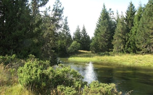 Têt Valley