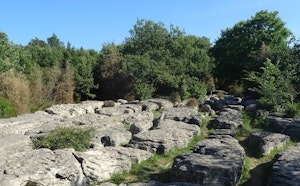 Labyrinthe Vert de Nébias