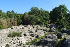 Labyrinthe vert de Nébias