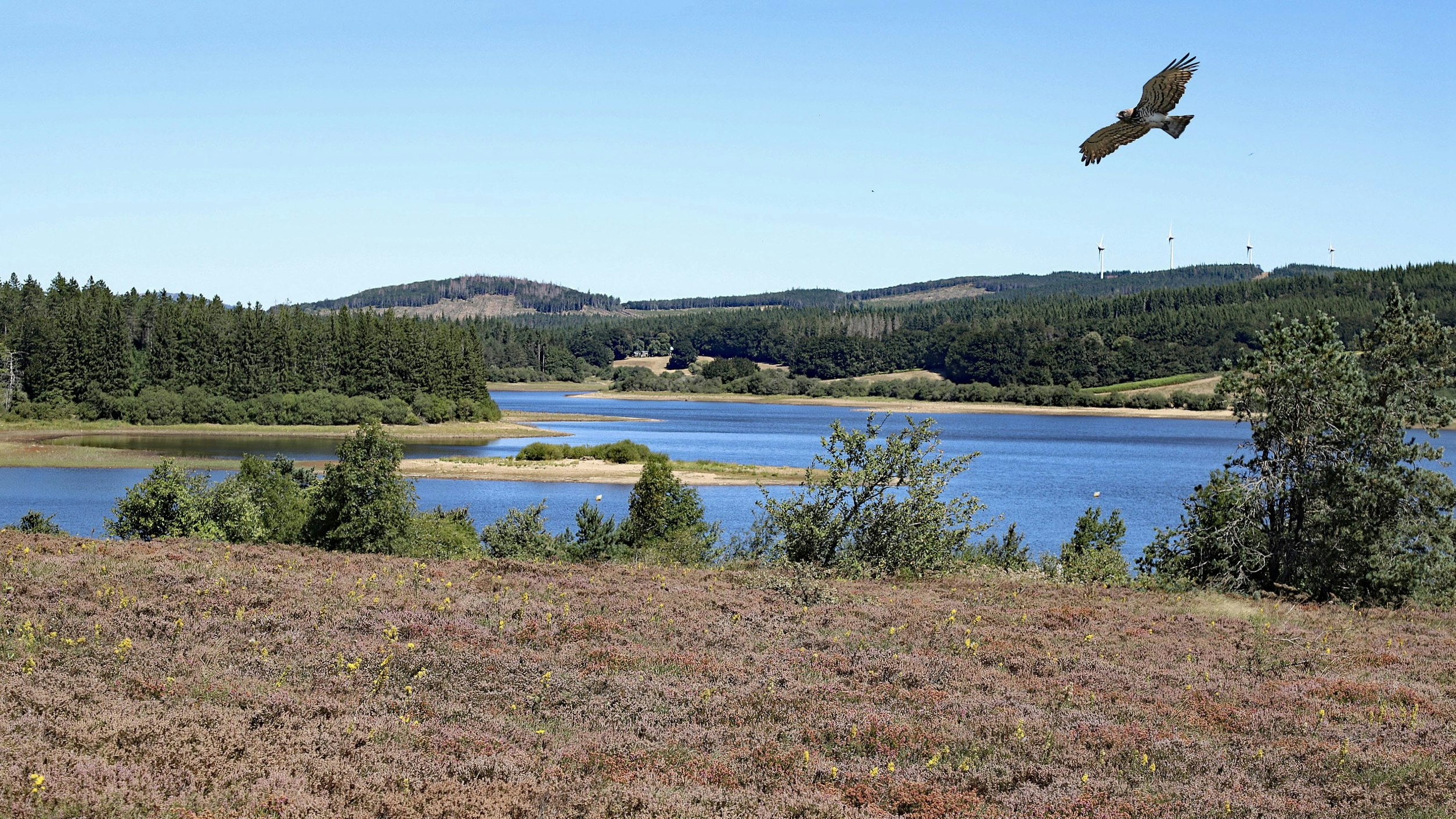 Lac de Vézoles Randonnée Hika Lac de Vézoles Randonnée Hika