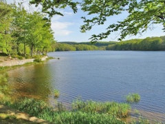 Lac du Lampy