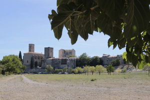 Hauteurs de Cournonterral