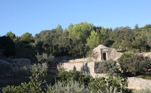 Combe des Bourguignons