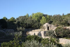 Combe des Bourguignons