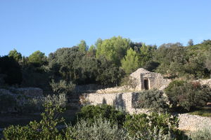 Combe des Bourguignons