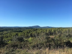 Massif forestier de Baillarguet