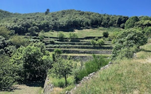 Tour of Mauripe