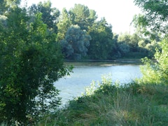 Mauvers les Bordes