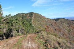 Mont Agut