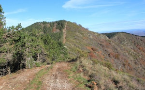 Mont Agut