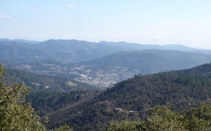 Mont Brion