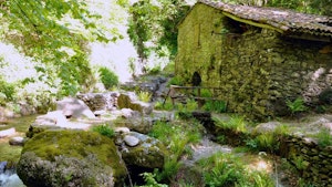 Moulin de la Laurède