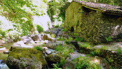 Moulin de la Laurède