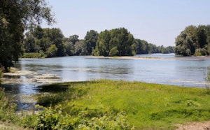 Parc du Confluent