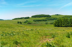 Pendouliou de Fabrègues