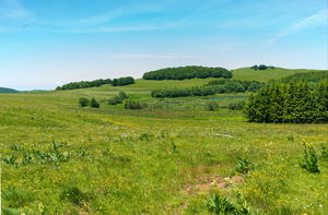 Pendouliou de Fabrègues