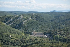 Pinède de Fontlaurier