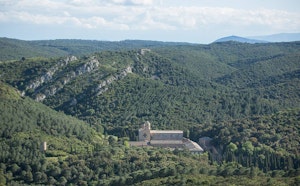 Pinède de Fontlaurier
