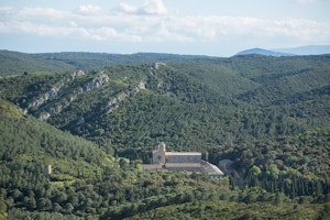 Pinède de Fontlaurier