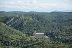 Pinède de Fontlaurier