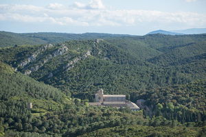 Pinède de Fontlaurier