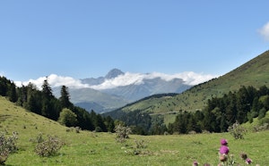 Plo del Naou