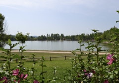 Ponds of Dicosa