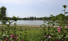 Ponds of Dicosa 