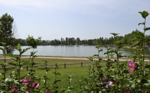 Ponds of Dicosa