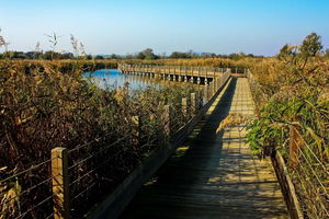 Réserve naturelle du Méjean