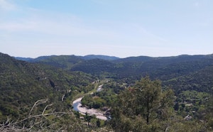 Sauque Rounde