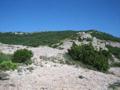 Signal d'Alaric