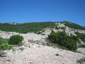 Signal d'Alaric