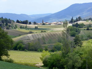 Site de la bataille du Boulou