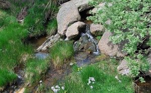 Sources of the Allier