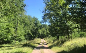 Sentier de la Baronne